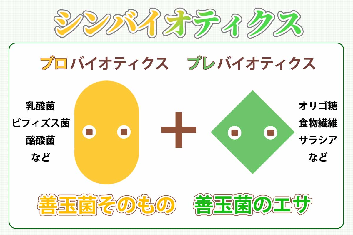 輸入 ディアナチュラスタイル 乳酸菌×ビフィズス菌 食物繊維 オリゴ糖 20粒 20日分 ×２０個セット ※軽減税率対象品 fucoa.cl