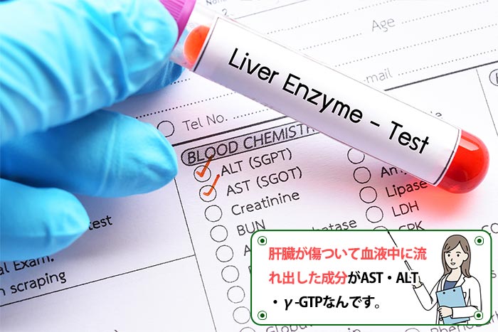 肝臓の酵素肝臓数値対策サプリ